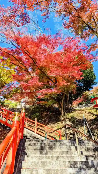 足利織姫神社の自然