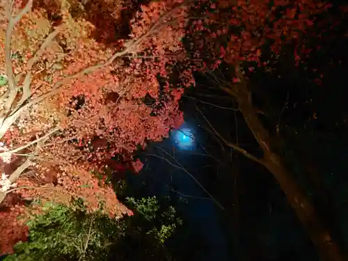 教林坊(滋賀県)