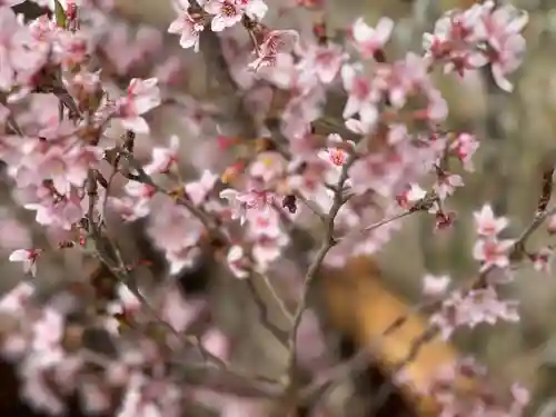 阿邪訶根神社(福島県)