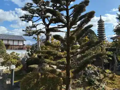 大松禅寺の{uncategorized: "未分類", other: "その他", undefined: "問題あり", building: "その他建物", grave: "お墓", sacred_gate: "鳥居", guardian: "狛犬", statue: "像", buddha: "仏像", history: "歴史", nature: "自然", garden: "庭園", animal: "動物", pagoda: "塔", temizu: "手水舎", mountain_gate: "山門・神門", sanctuary: "本殿・本堂", subordinate: "末社・摂社", art: "芸術", scenery: "景色", jizo: "地蔵", ema: "絵馬", goshuin: "御朱印", omikuji: "おみくじ", items: "授与品その他", amulet: "お守り", goshuincho: "御朱印帳", eats: "食事", festival: "お祭り", votive_dance: "神楽", shichigosan: "七五三参", wedding: "結婚式", experience: "体験その他", initially: "初詣", around: "周辺", anti_infection: "感染症対策"}