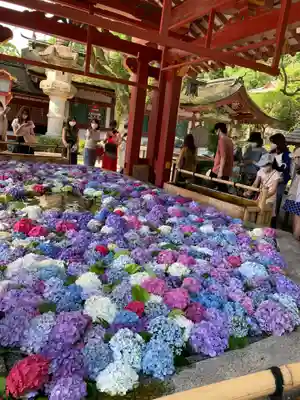 太宰府天満宮の手水舎