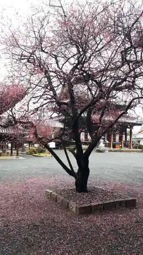 興正寺(京都府)