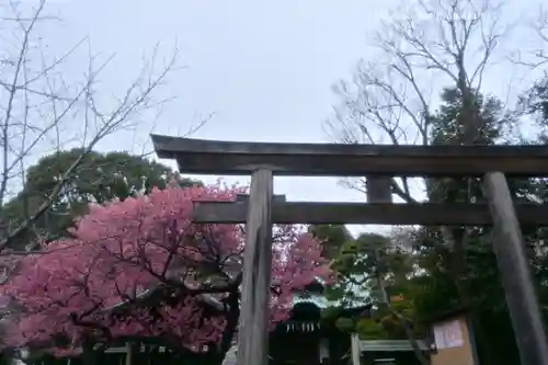 荏原神社(東京都)
