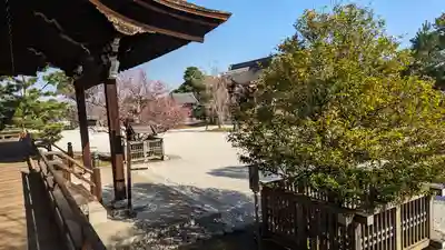 大覚寺(京都府)