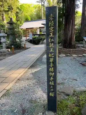 白川吉見神社(熊本県)