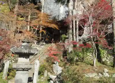 橋立堂(埼玉県)