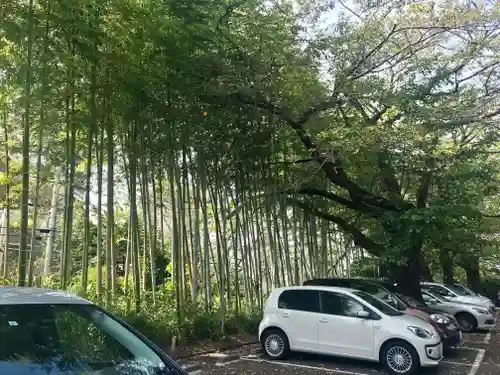 星川杉山神社の庭園