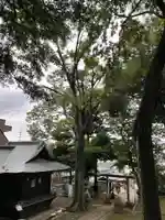 三宿神社のその他建物