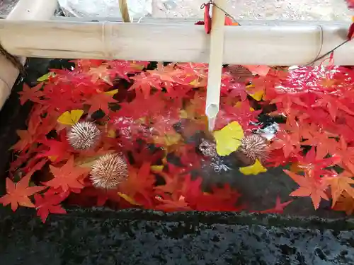 福島八幡宮の手水舎