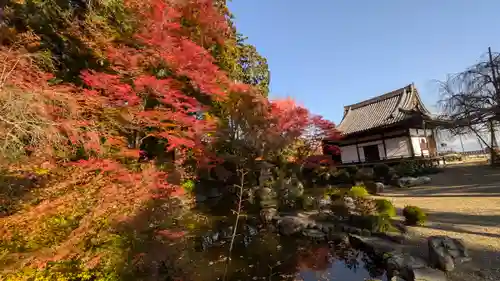 善峯寺(京都府)