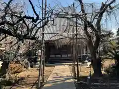 宝寿院の本殿