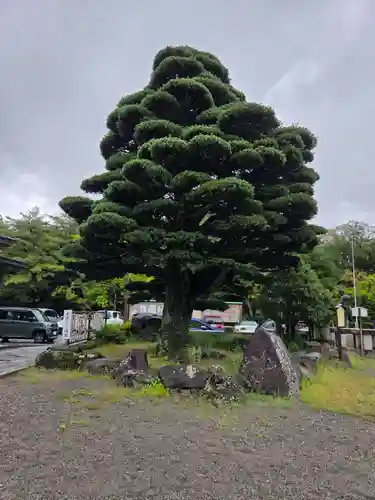 石川護國神社(石川県)
