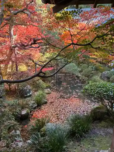 禅林寺（永観堂）(京都府)