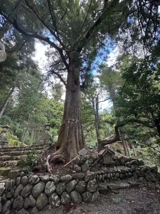 大皇神社(三重県)