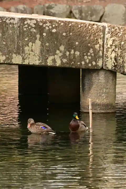 相国寺(相国承天禅寺)(京都府)