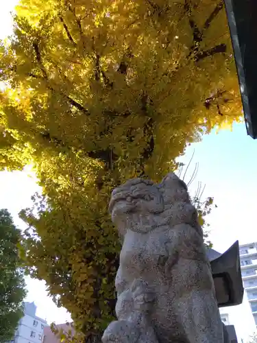 金山神社の狛犬