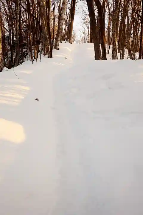 来運神社の周辺