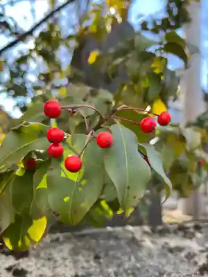 八剣神社(長野県)