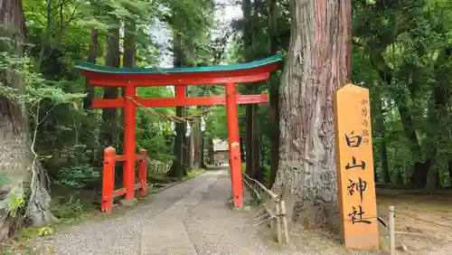 白山神社(岩手県)