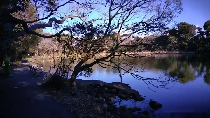 大瀬神社の自然