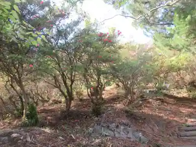 正福寺別当米山薬師堂(埼玉県)