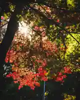 滋賀県護国神社(滋賀県)