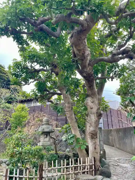 日蓮宗龍口山本龍寺の{uncategorized: "未分類", other: "その他", undefined: "問題あり", building: "その他建物", grave: "お墓", sacred_gate: "鳥居", guardian: "狛犬", statue: "像", buddha: "仏像", history: "歴史", nature: "自然", garden: "庭園", animal: "動物", pagoda: "塔", temizu: "手水舎", mountain_gate: "山門・神門", sanctuary: "本殿・本堂", subordinate: "末社・摂社", art: "芸術", scenery: "景色", jizo: "地蔵", ema: "絵馬", goshuin: "御朱印", omikuji: "おみくじ", items: "授与品その他", amulet: "お守り", goshuincho: "御朱印帳", eats: "食事", festival: "お祭り", votive_dance: "神楽", shichigosan: "七五三参", wedding: "結婚式", experience: "体験その他", initially: "初詣", around: "周辺", anti_infection: "感染症対策"}