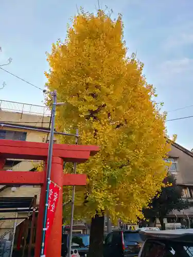 大牟田神社(福岡県)
