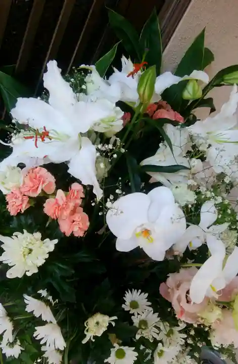 南幌神社の自然