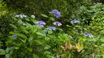 中山寺奥之院(兵庫県)