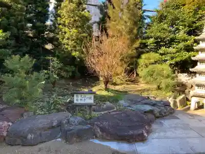 鶴見神社(神奈川県)