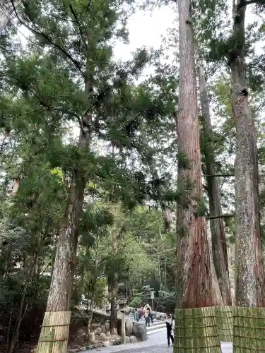 伊勢神宮内宮（皇大神宮）の{uncategorized: "未分類", other: "その他", undefined: "問題あり", building: "その他建物", grave: "お墓", sacred_gate: "鳥居", guardian: "狛犬", statue: "像", buddha: "仏像", history: "歴史", nature: "自然", garden: "庭園", animal: "動物", pagoda: "塔", temizu: "手水舎", mountain_gate: "山門・神門", sanctuary: "本殿・本堂", subordinate: "末社・摂社", art: "芸術", scenery: "景色", jizo: "地蔵", ema: "絵馬", goshuin: "御朱印", omikuji: "おみくじ", items: "授与品その他", amulet: "お守り", goshuincho: "御朱印帳", eats: "食事", festival: "お祭り", votive_dance: "神楽", shichigosan: "七五三参", wedding: "結婚式", experience: "体験その他", initially: "初詣", around: "周辺", anti_infection: "感染症対策"}