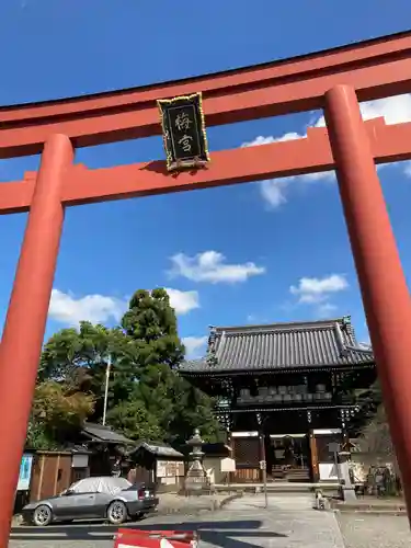 梅宮大社の鳥居