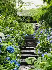 資福禅寺の庭園