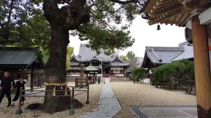 大聖観音寺(あびこ観音)(大阪府)