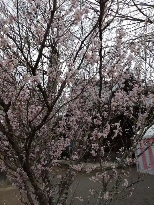 賀羅加波神社(広島県)