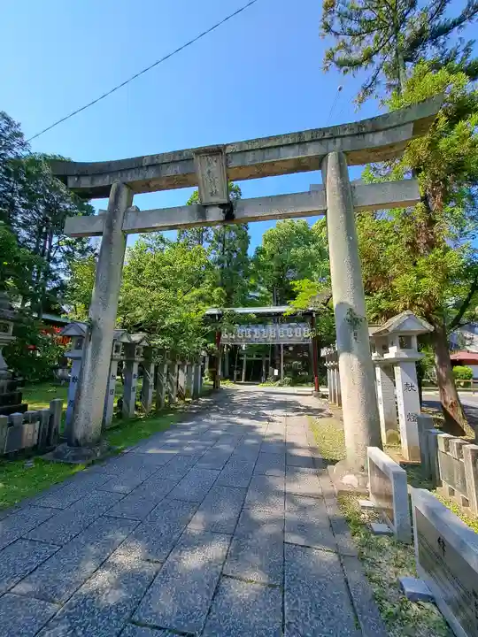 針綱神社(愛知県)
