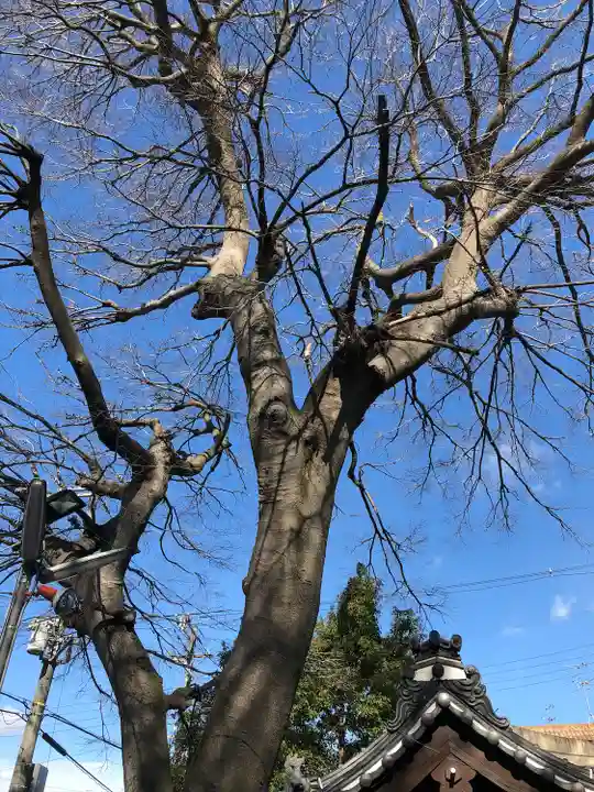 御劔神社の自然
