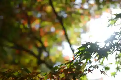 仁和寺(京都府)