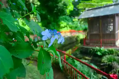 谷保天満宮(東京都)