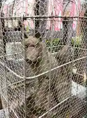 日先神社(東京都)