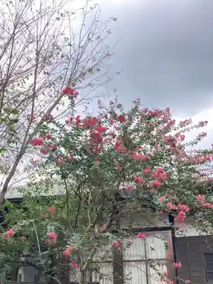 常陸二ノ宮　静神社(茨城県)
