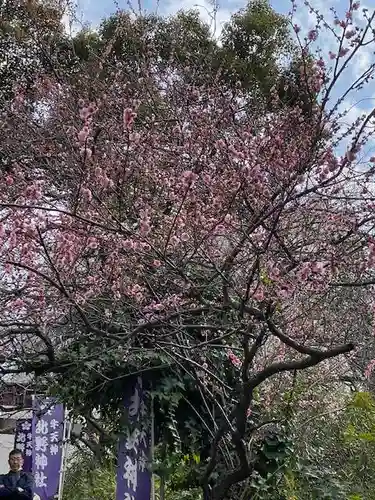 牛天神北野神社の庭園