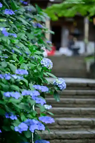 高幡不動尊　金剛寺(東京都)