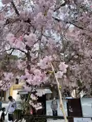 小國神社(静岡県)