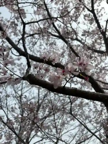 源空院（浅井寺）の{uncategorized: "未分類", other: "その他", undefined: "問題あり", building: "その他建物", grave: "お墓", sacred_gate: "鳥居", guardian: "狛犬", statue: "像", buddha: "仏像", history: "歴史", nature: "自然", garden: "庭園", animal: "動物", pagoda: "塔", temizu: "手水舎", mountain_gate: "山門・神門", sanctuary: "本殿・本堂", subordinate: "末社・摂社", art: "芸術", scenery: "景色", jizo: "地蔵", ema: "絵馬", goshuin: "御朱印", omikuji: "おみくじ", items: "授与品その他", amulet: "お守り", goshuincho: "御朱印帳", eats: "食事", festival: "お祭り", votive_dance: "神楽", shichigosan: "七五三参", wedding: "結婚式", experience: "体験その他", initially: "初詣", around: "周辺", anti_infection: "感染症対策"}