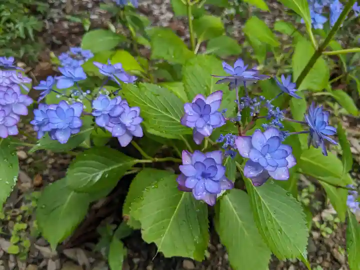 姫之宮奥宮(愛知県)