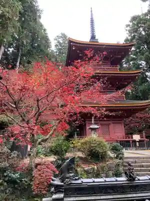 長命寺の塔