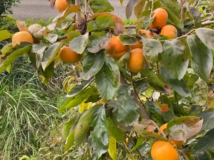 桂谷寺(兵庫県)