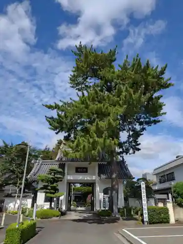 禅林寺(東京都)